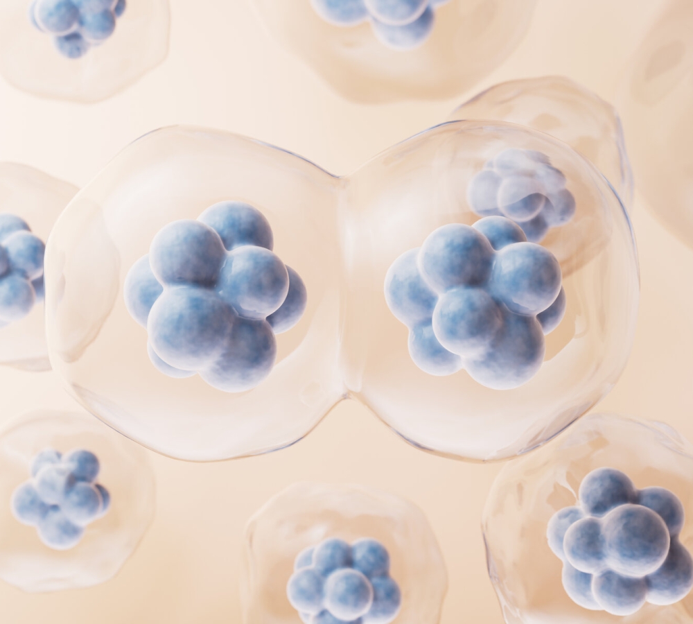 saengmyeong-gonghag-gaenyeom-3d-lendeoling-eul-iyonghan-sepoui-yusabun-yeol